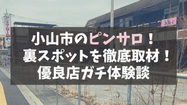 【最新】小山市のピンサロ・エステ店すべてを徹底紹介！裏風俗はある！？